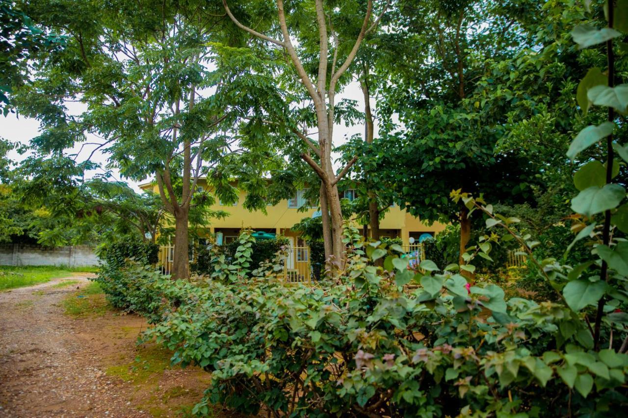 Sanctuary Aparthotel-Ac-Garden- Solar-Wi-Fi -Firepit-Park-Carport Lusaka Exterior foto